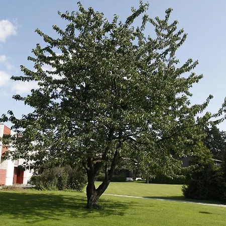 Oslo Holtekilen * Stabekk
